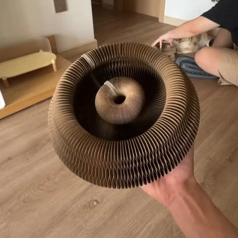 Magic Organ Foldable Cat Scratch Board Toy with Bell