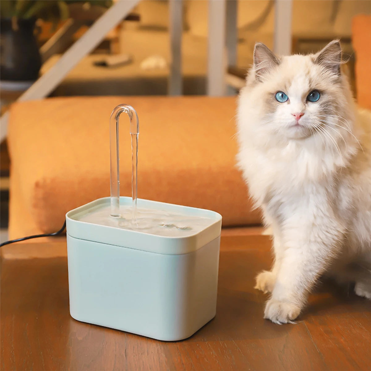 Cat Water Fountain Auto Filter Mute Cat Dog Drinker